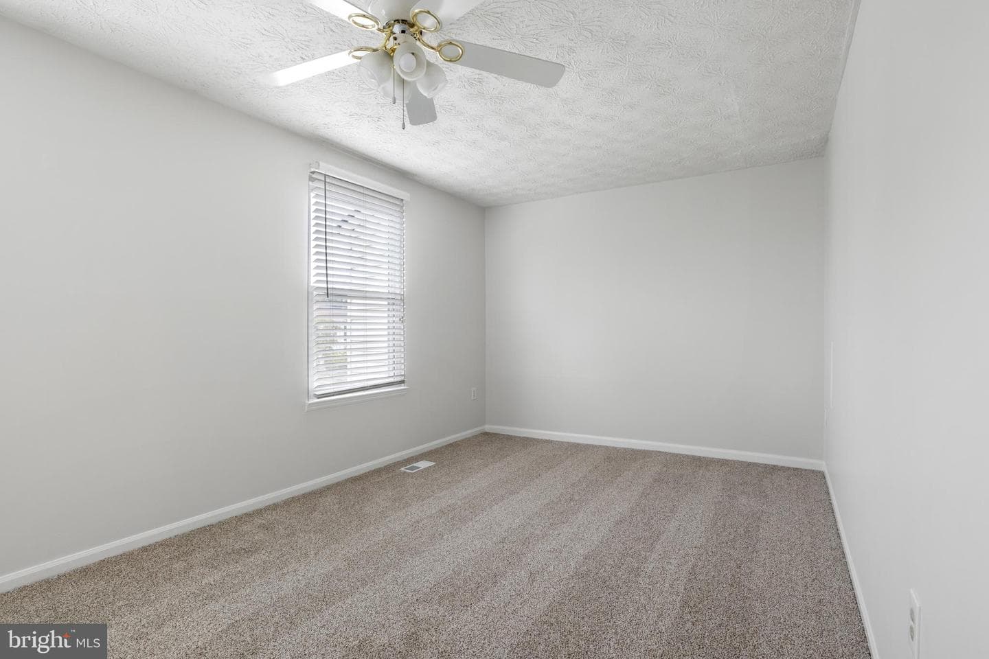 17 Camellia Court photo 23