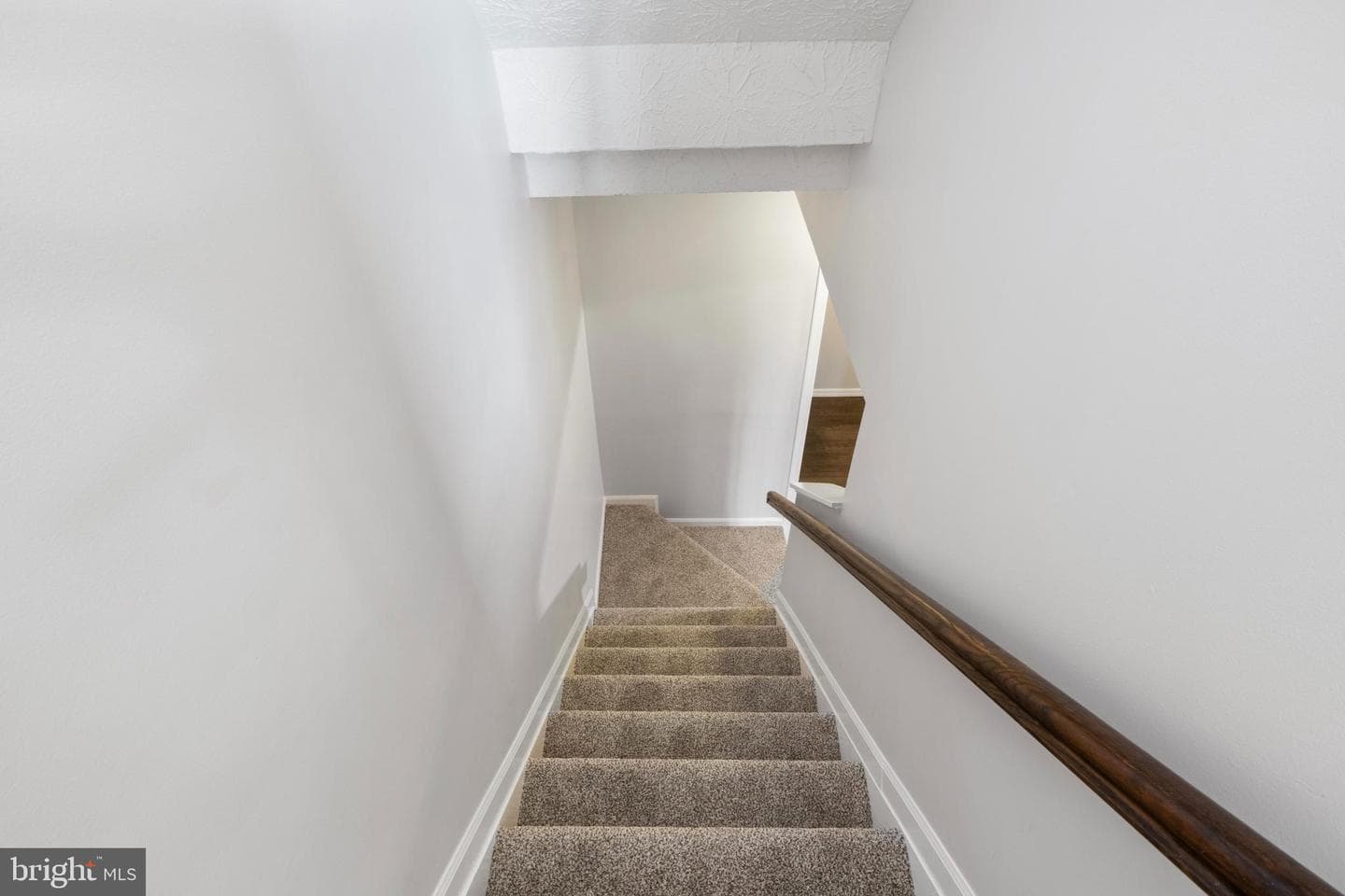 17 Camellia Court photo 25