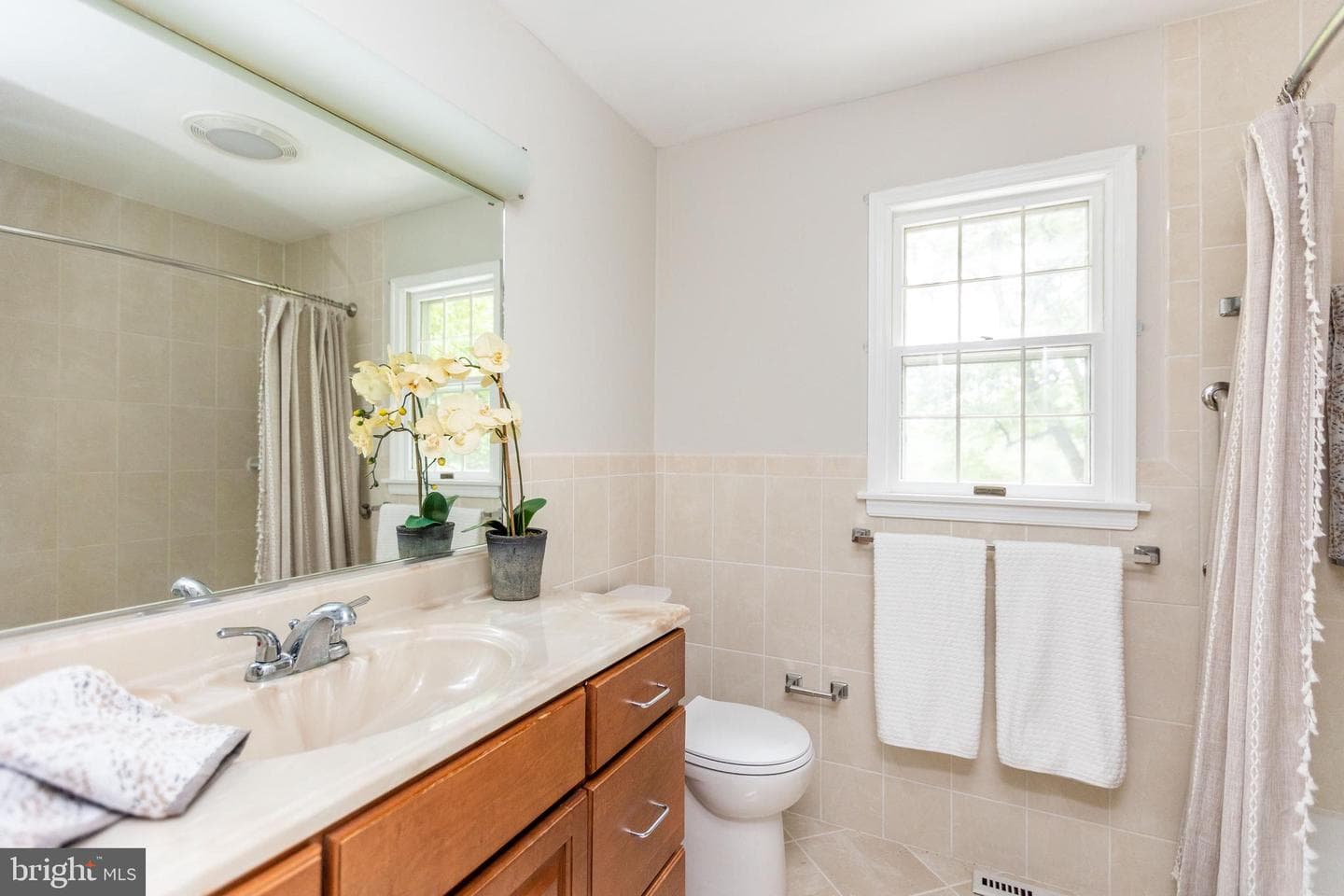 9 Chesterfield Court photo 23