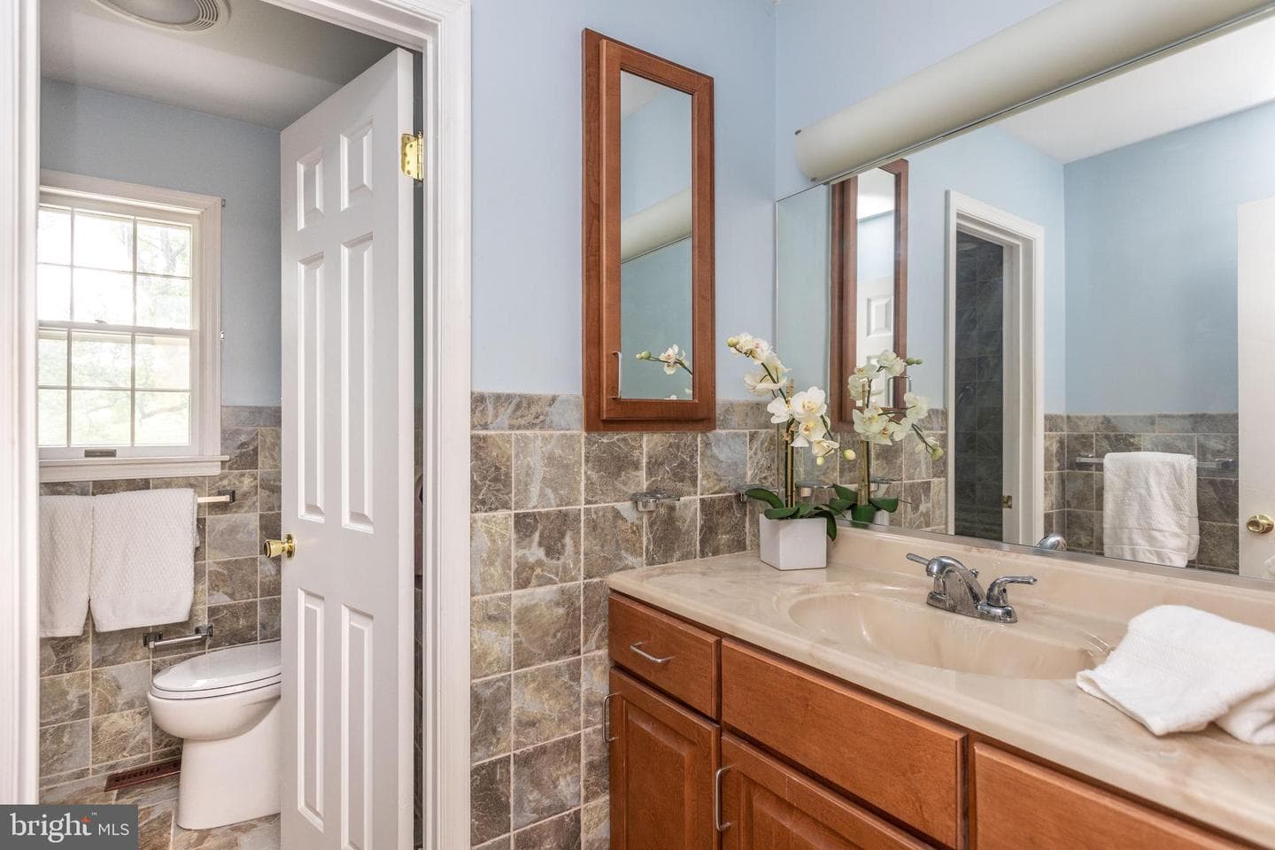 9 Chesterfield Court photo 31