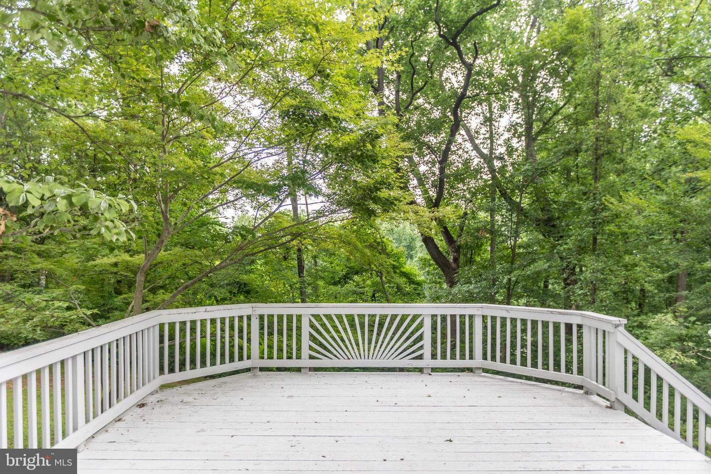 9 Chesterfield Court photo 38