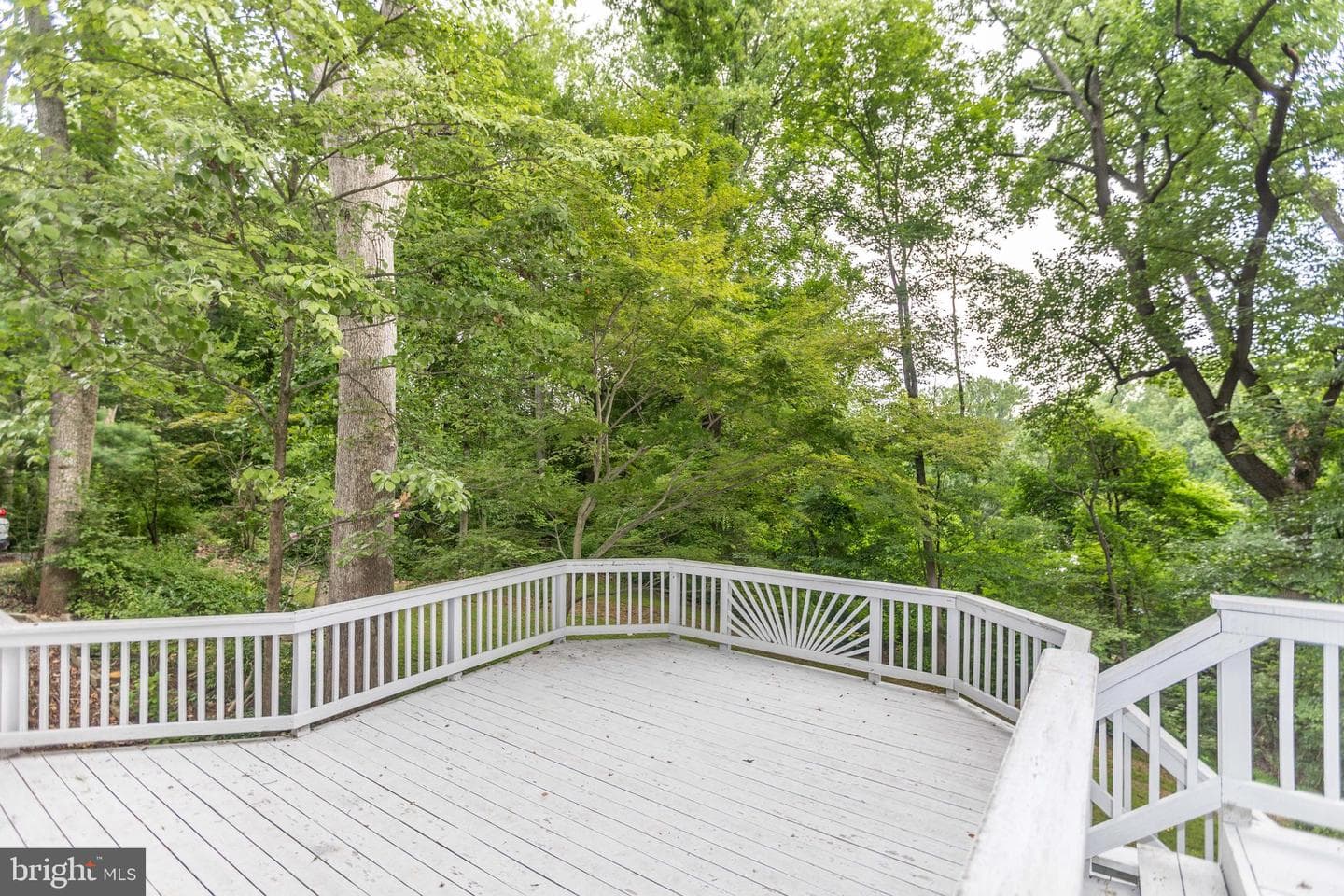 9 Chesterfield Court photo 39