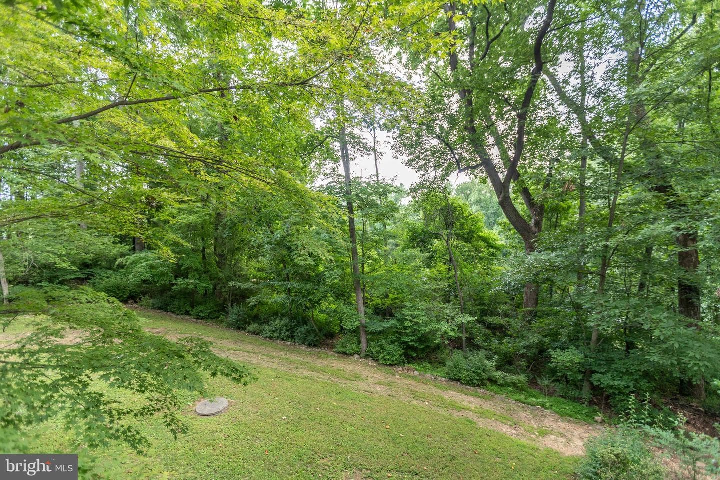 9 Chesterfield Court photo 45