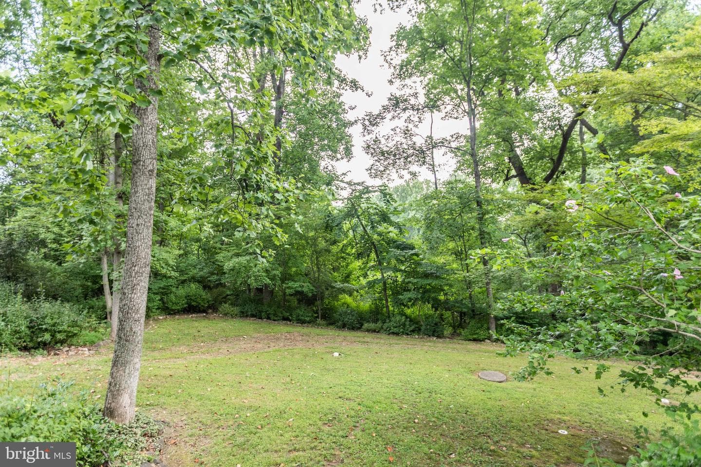 9 Chesterfield Court photo 46