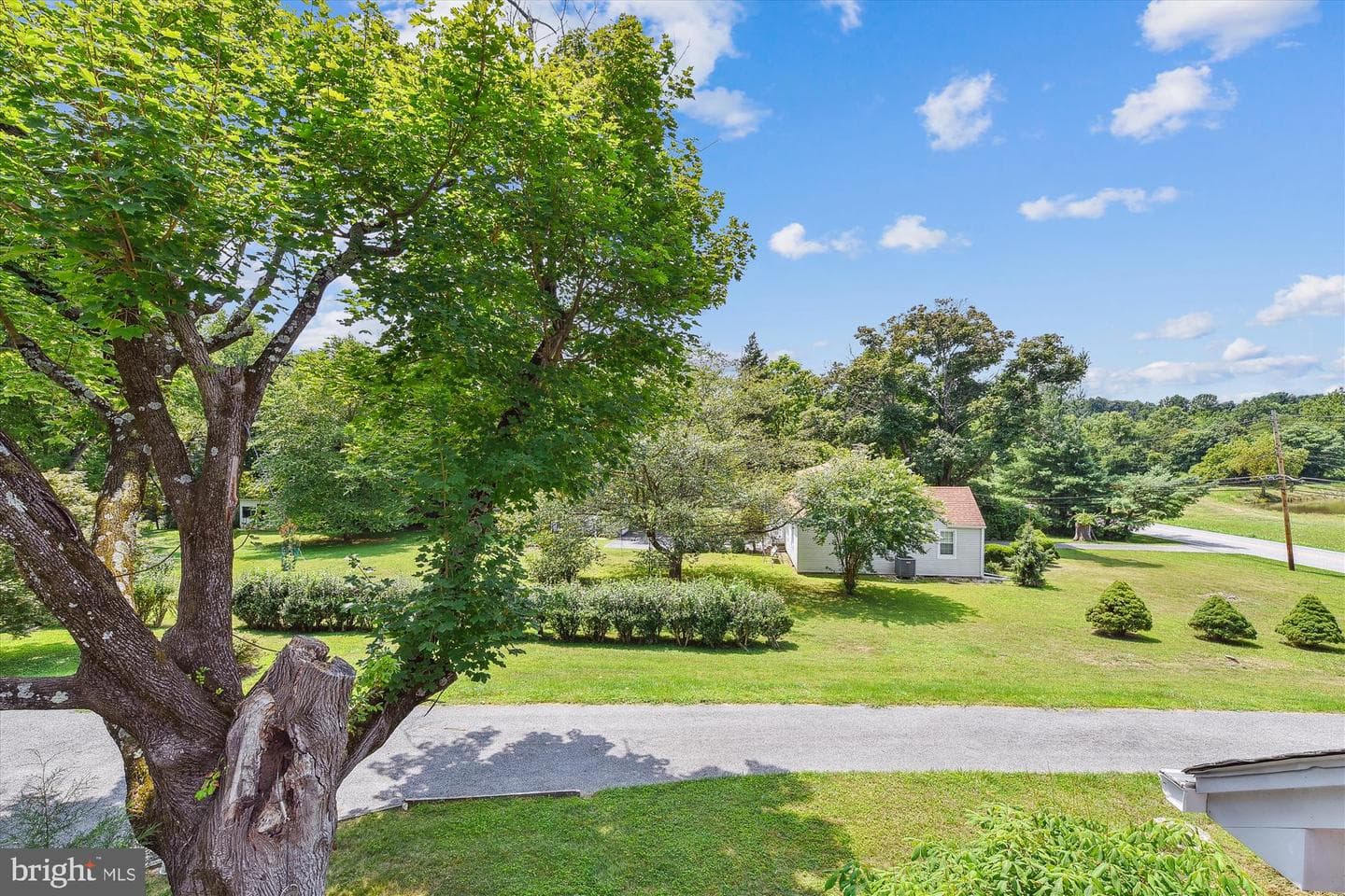 12127 Park Heights Avenue photo 52