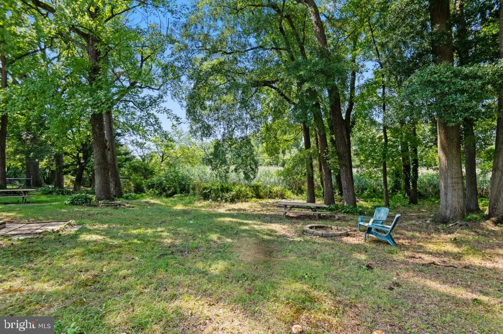 4 Forest Road photo 42