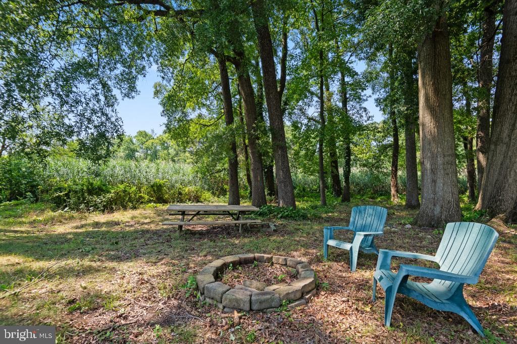4 Forest Road photo 43