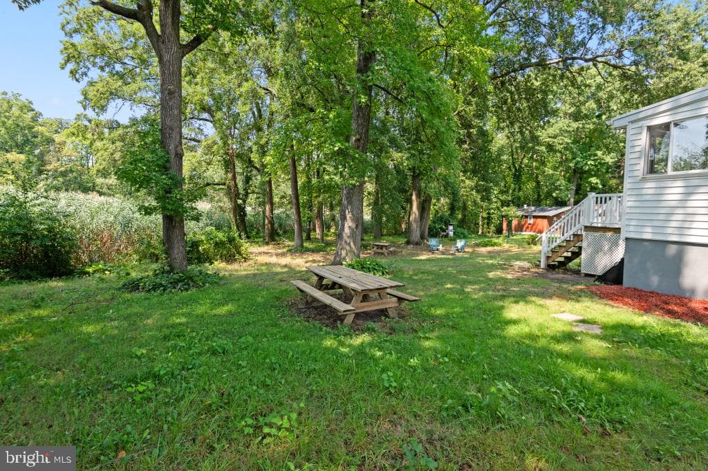 4 Forest Road photo 44