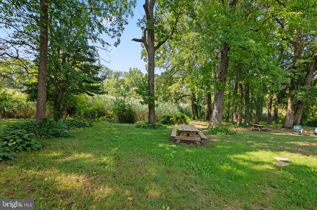 4 Forest Road photo 45