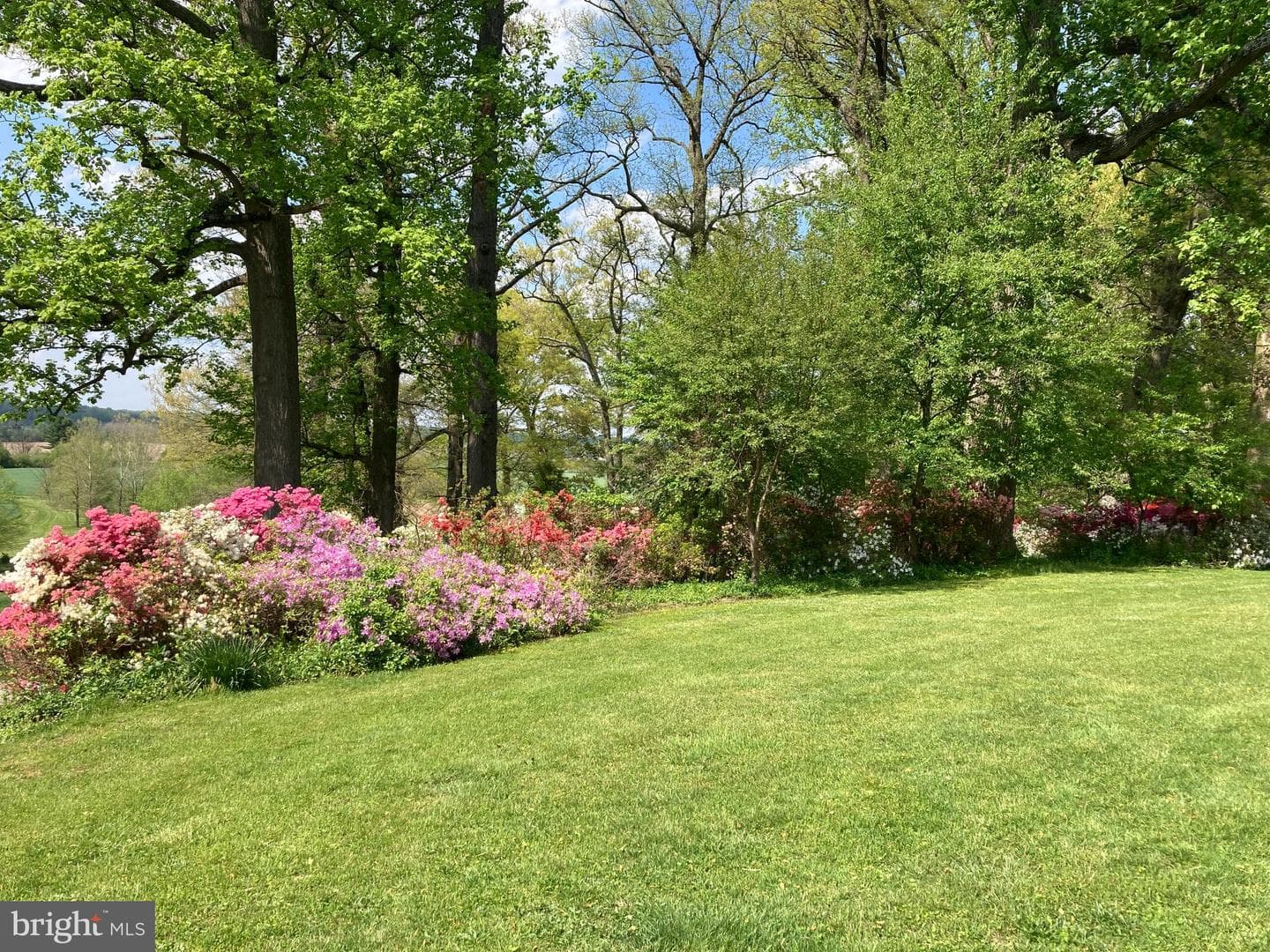12601 Long Green Pike photo 88