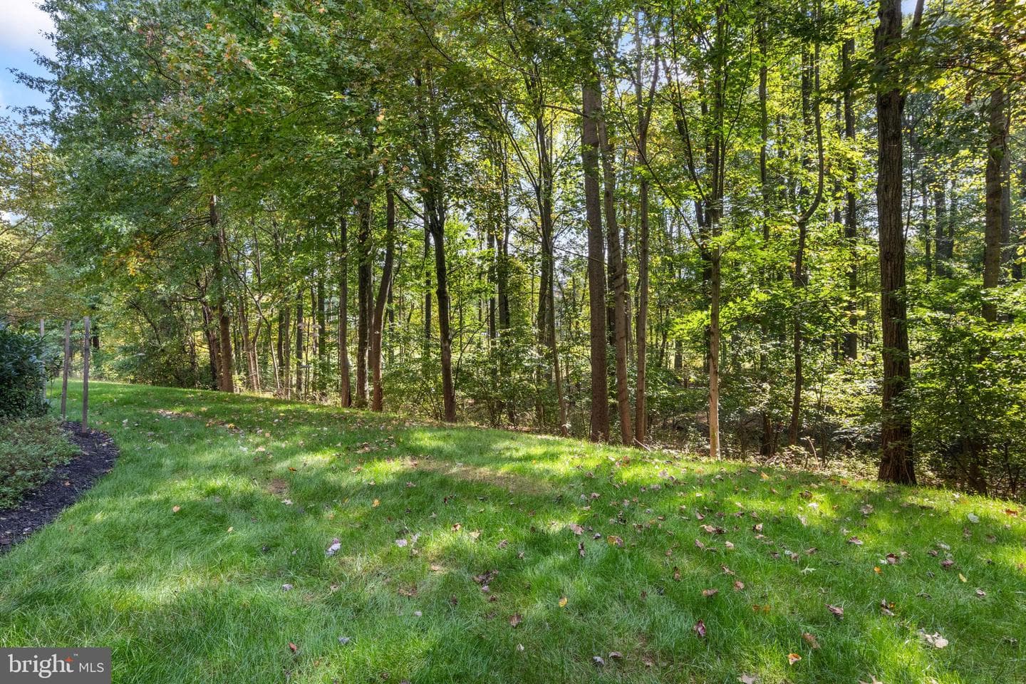 12105 Tullamore Court #103 photo 34