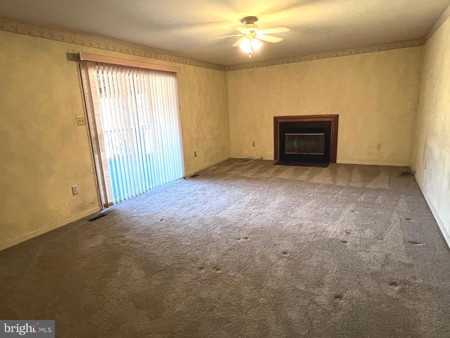 3712 Live Oak Road photo 5