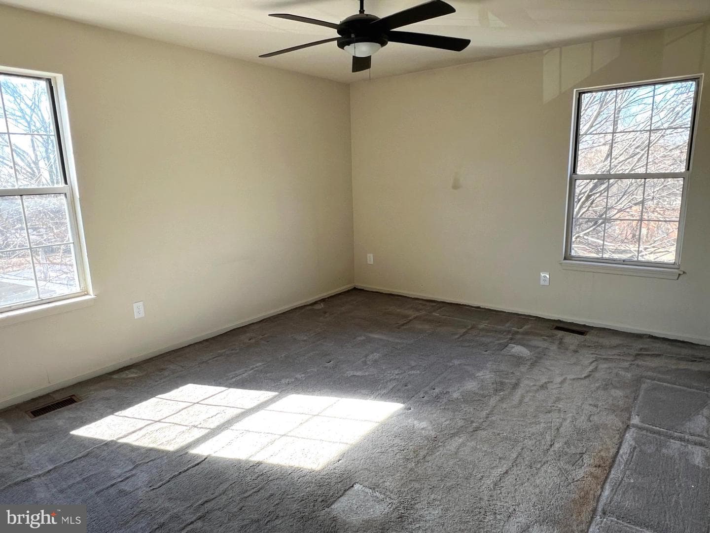 3712 Live Oak Road photo 7