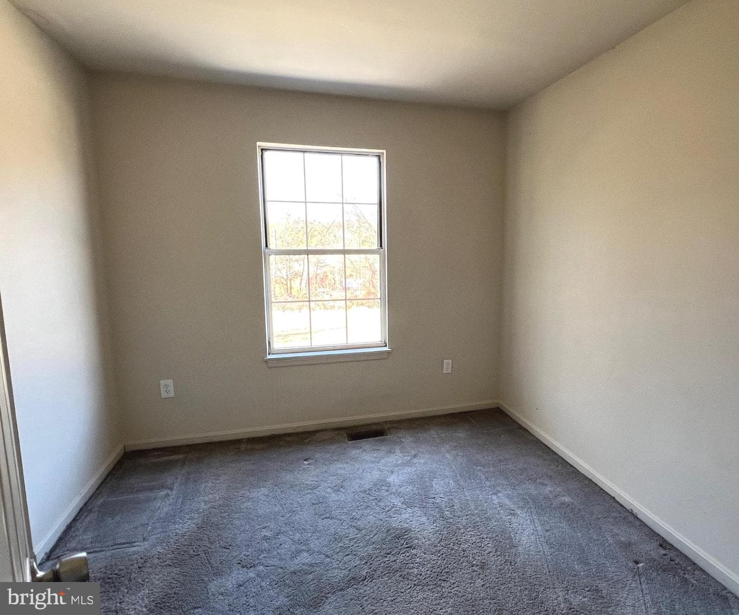 3712 Live Oak Road photo 8