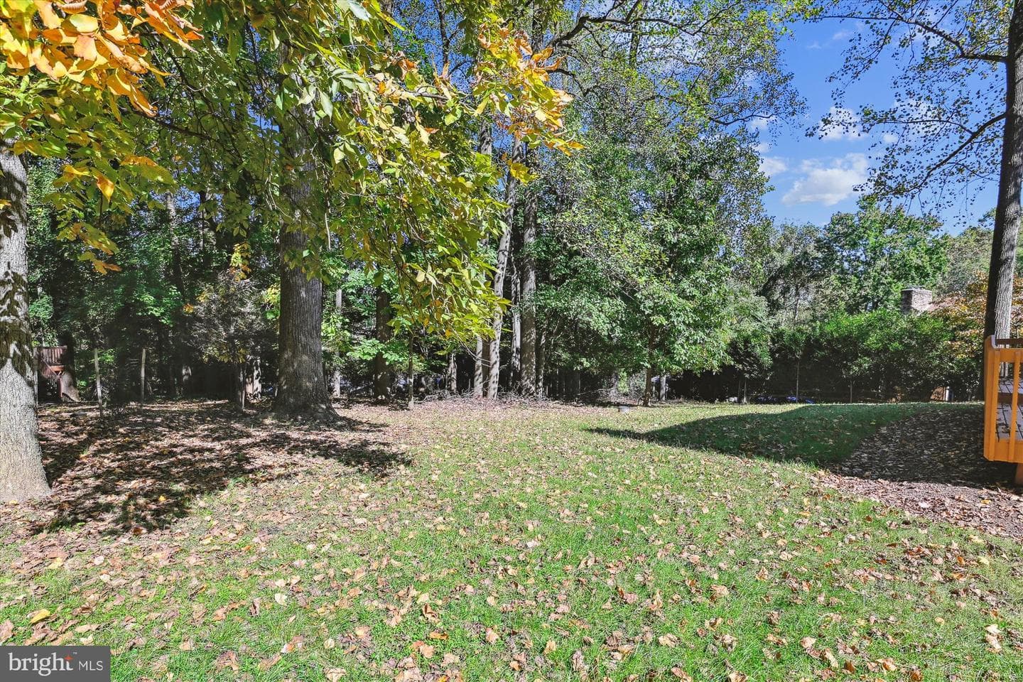 3302 Redspire Lane photo 49