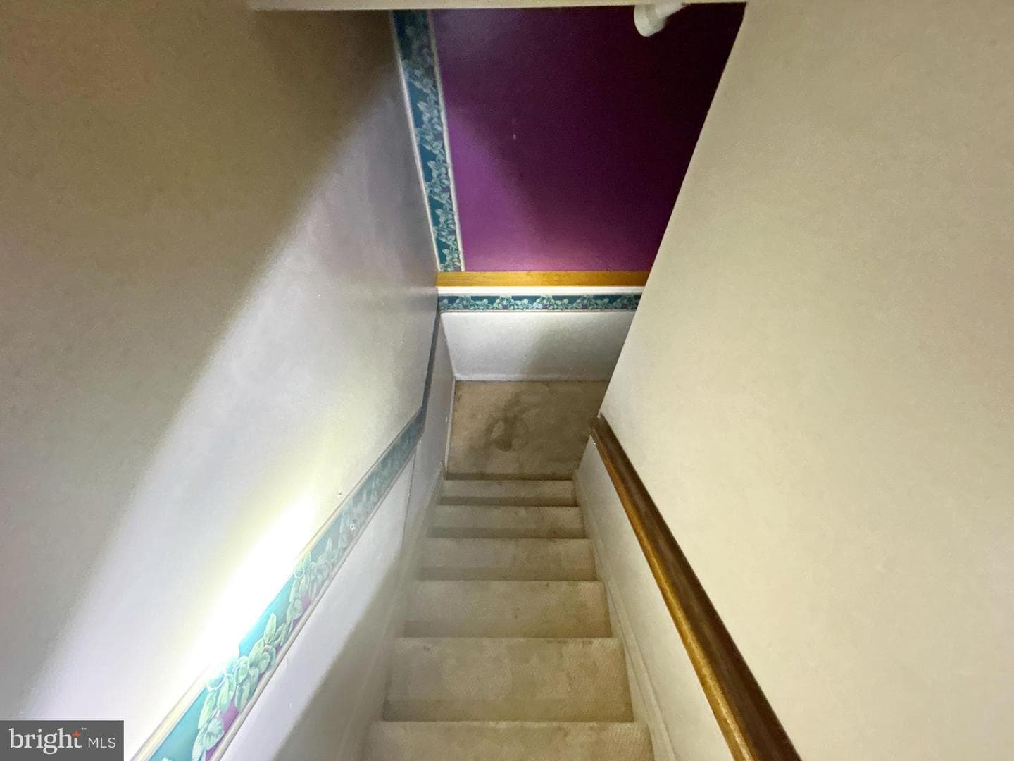 7 Stardust Court photo 36