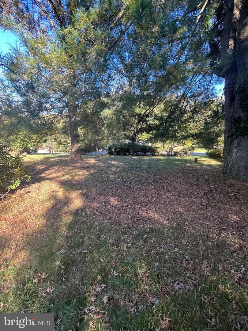 4302 Crab Orchard Road photo 10