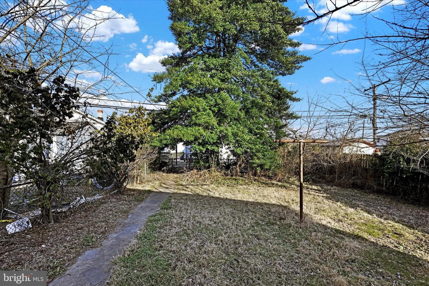209 Main Street photo 18