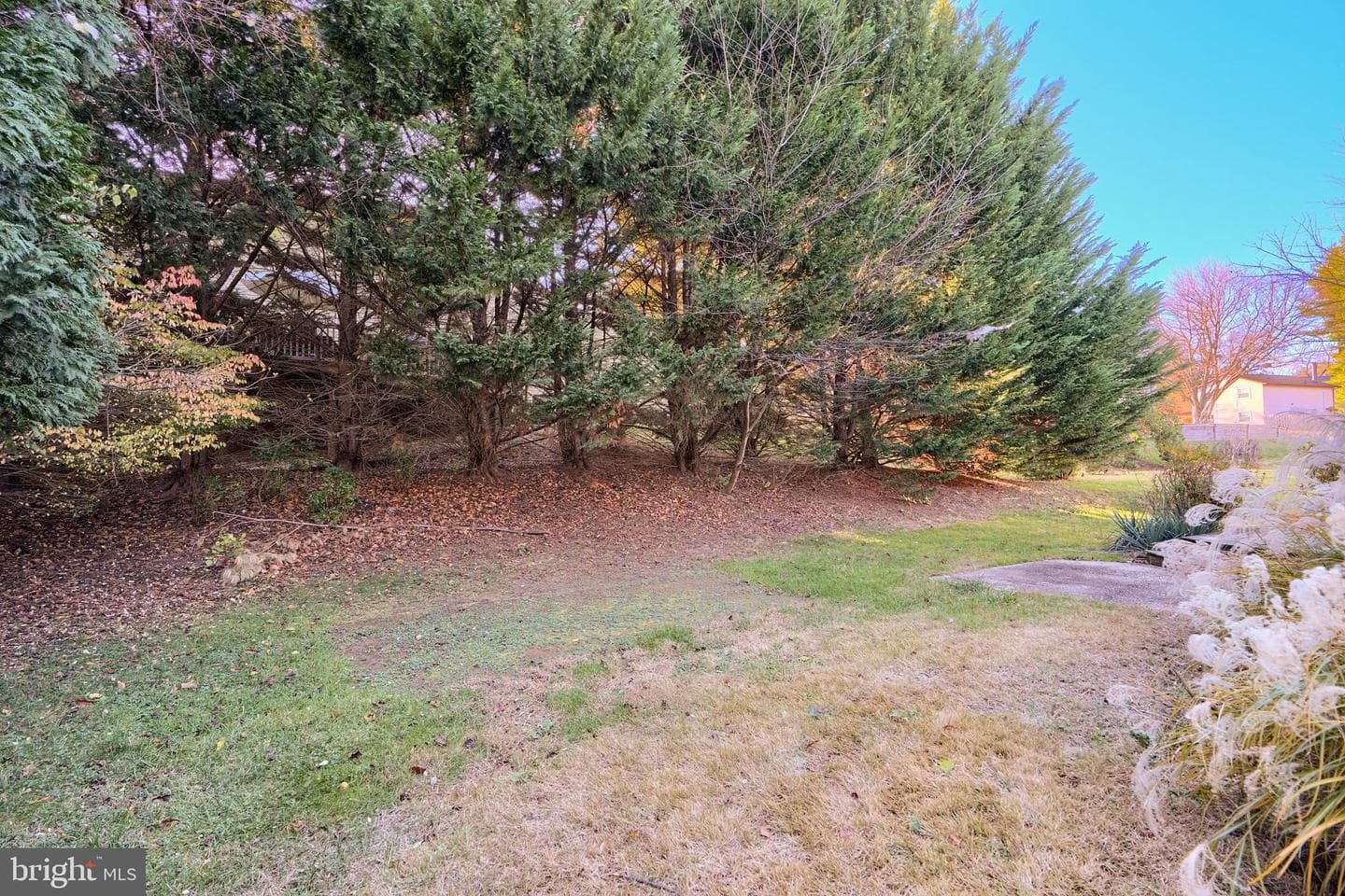 12118 Velvet Hill Drive photo 3