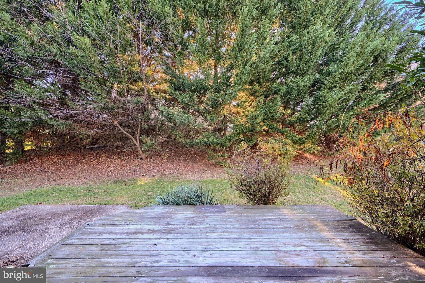 12118 Velvet Hill Drive photo 4
