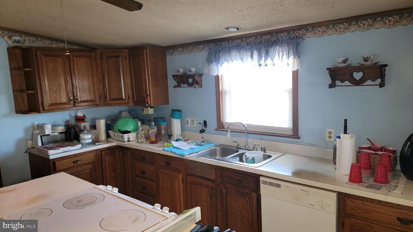 38 Tearose Dr photo 20