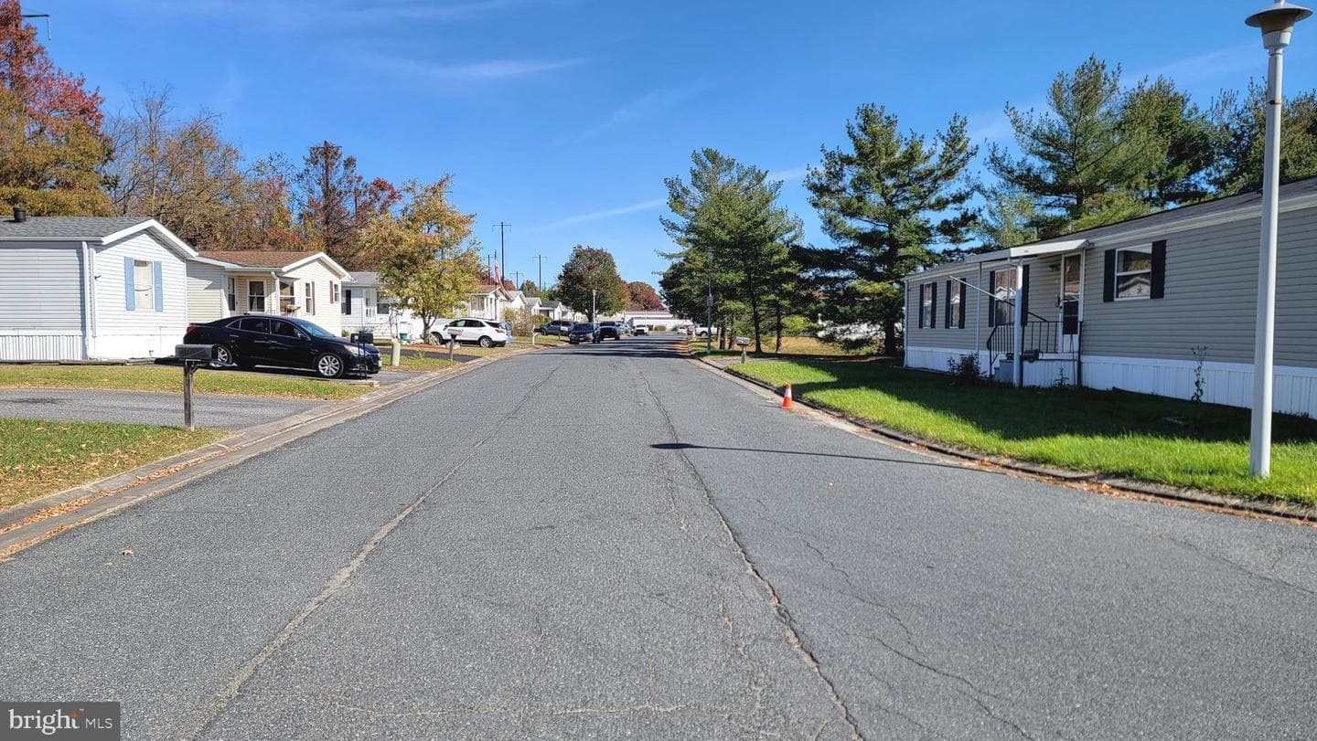 38 Tearose Dr photo 32