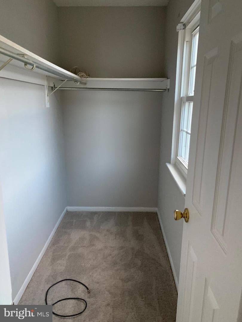 7 Briar Hollow Court photo 13