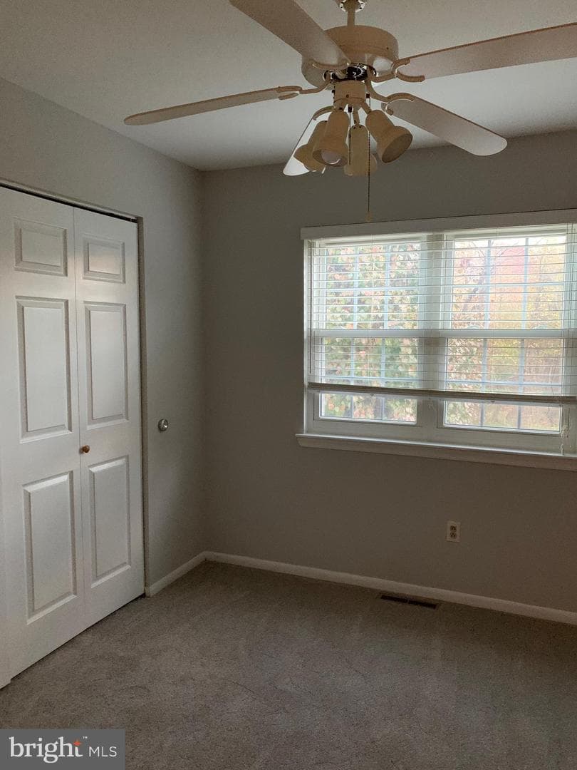 7 Briar Hollow Court photo 14