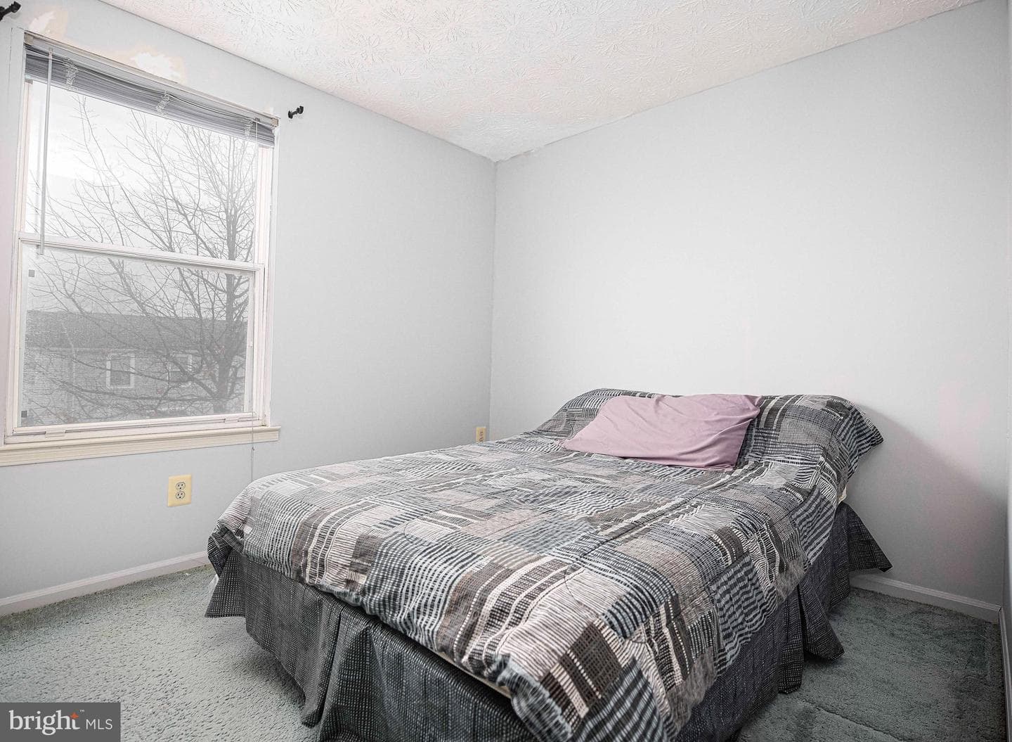 5 Camellia Court photo 16