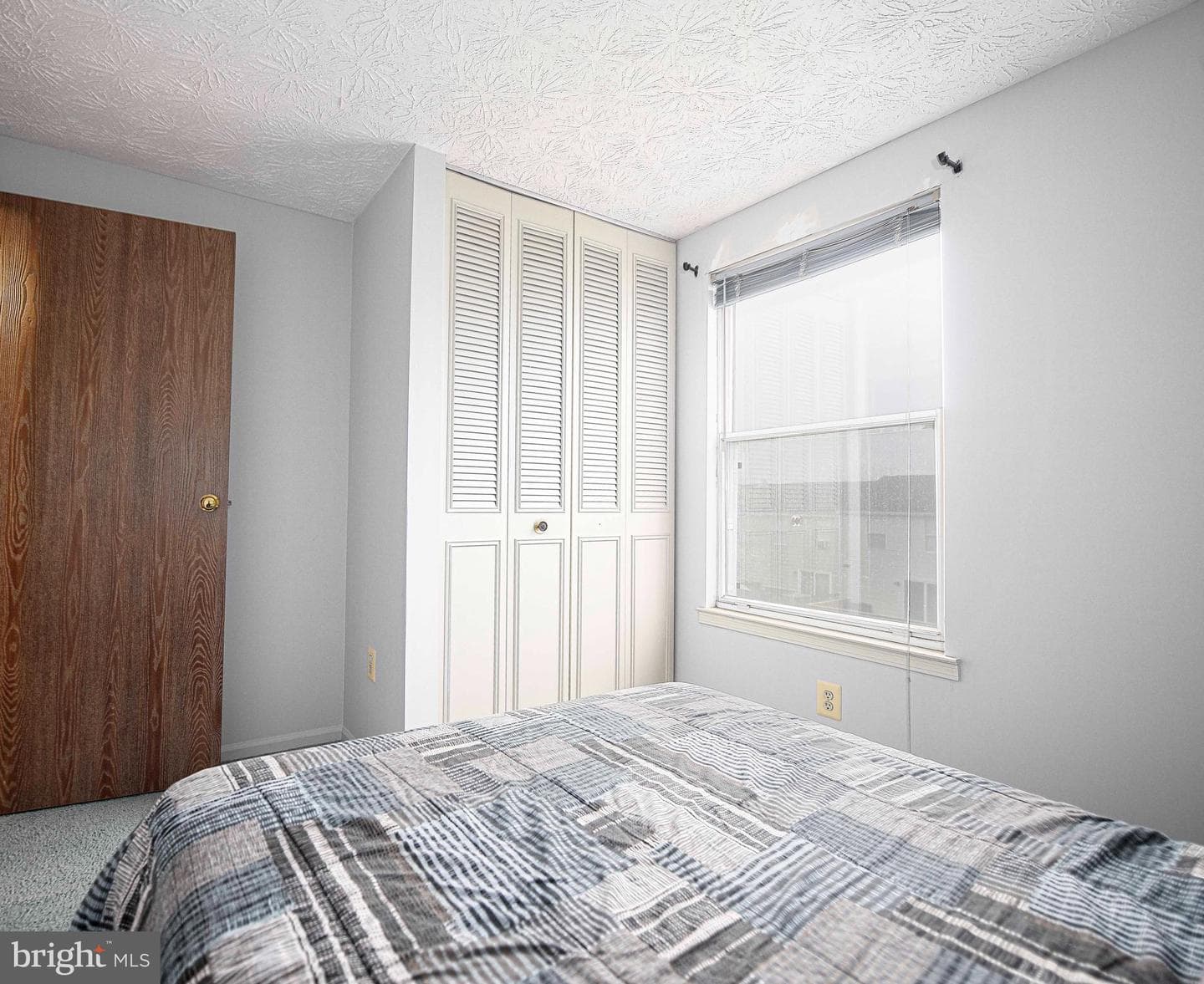 5 Camellia Court photo 17
