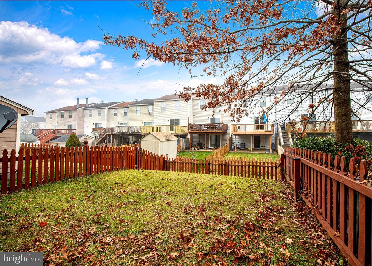 5 Camellia Court photo 25