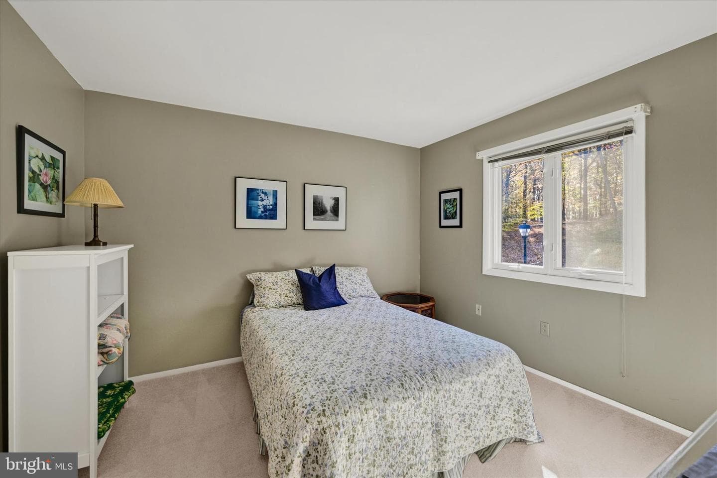 216 Beech View Court #36 photo 19