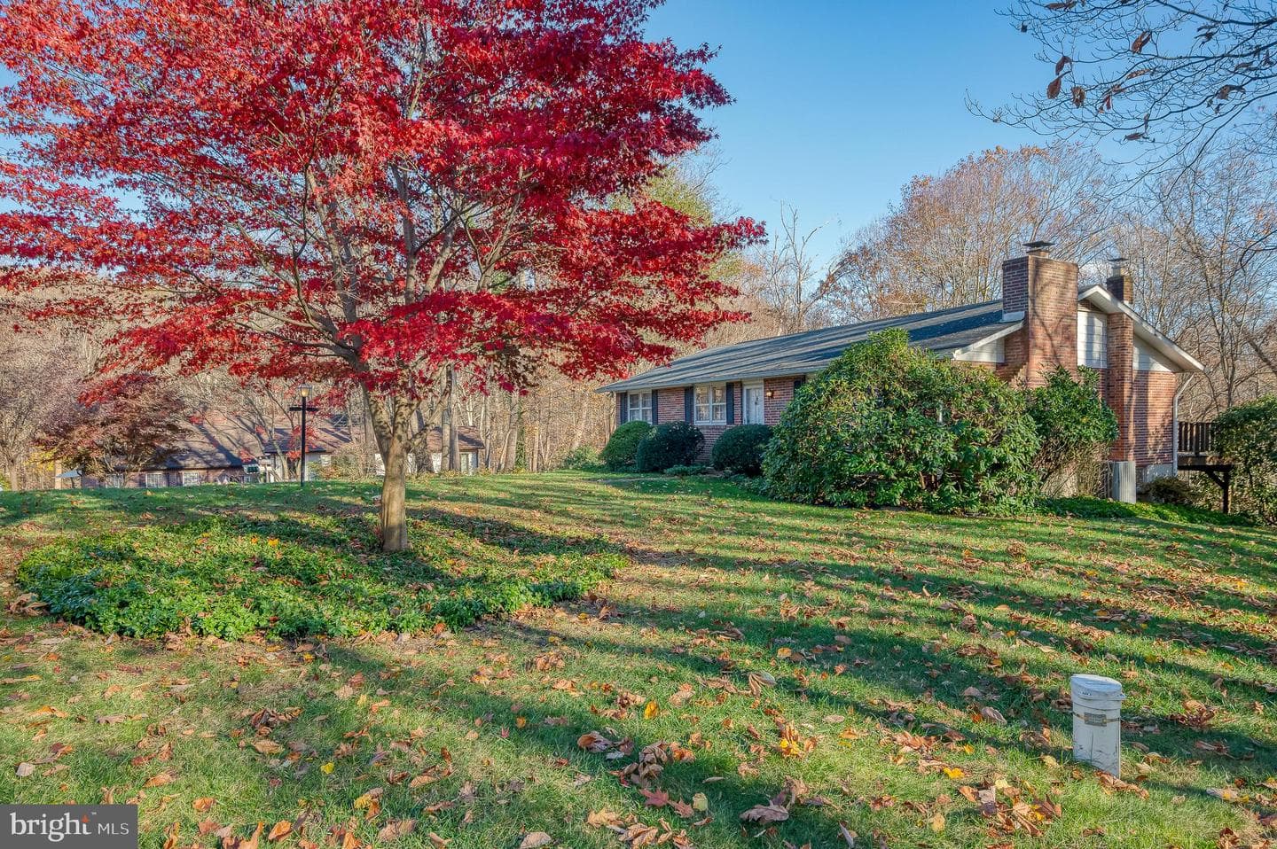 4008 Milldale Court photo 5
