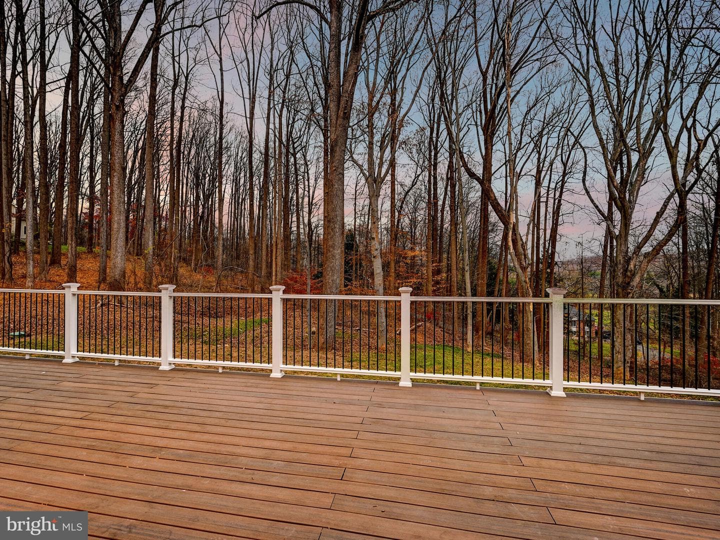 11317 Manor Road photo 49
