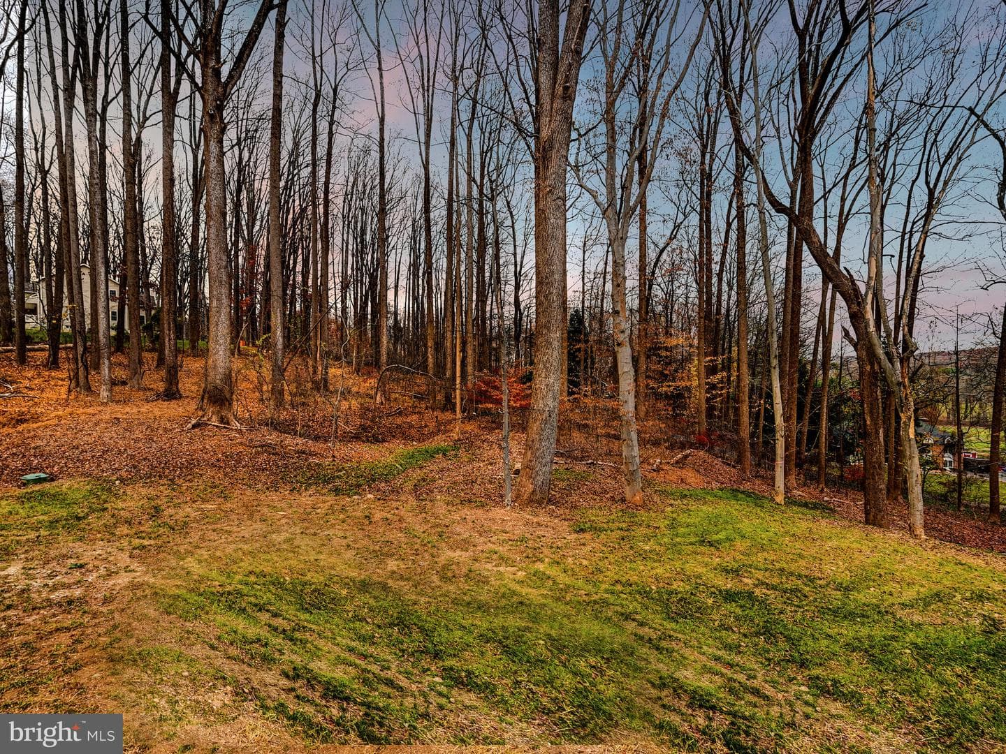 11317 Manor Road photo 51