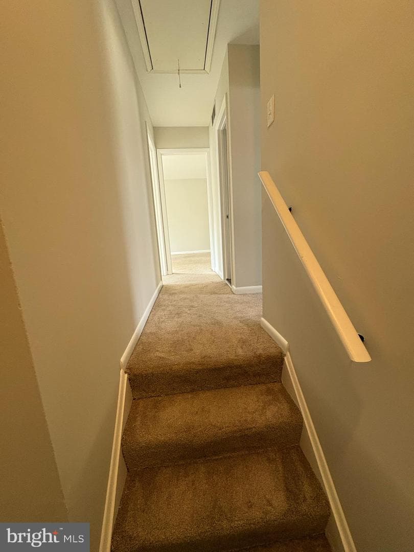 7004 Upper Mills Circle photo 26