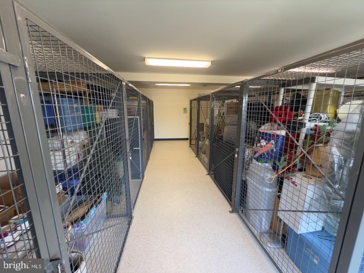 12251 Roundwood Road #601 photo 40