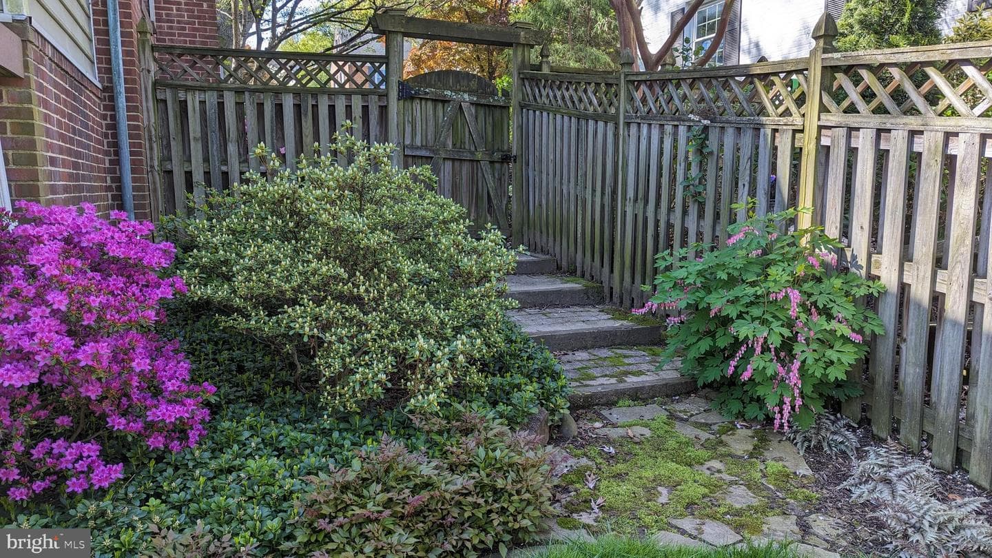 514 Yarmouth Road photo 37