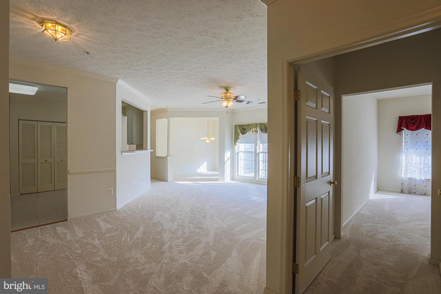 4824 Brightleaf Court #4824 photo 3