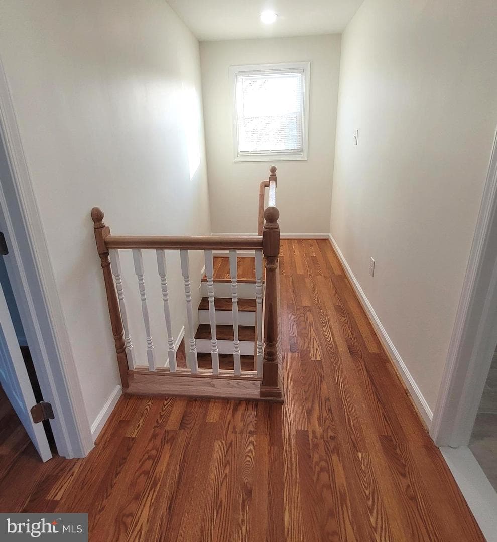 47 Mavista Avenue photo 7