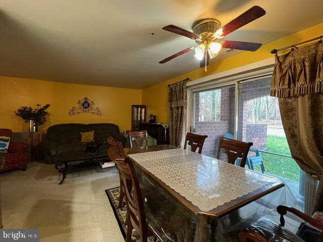 3800 Wean Drive #a photo 44