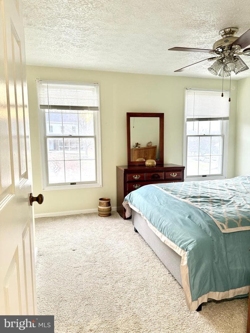 9 Hickory Ridge Court photo 28