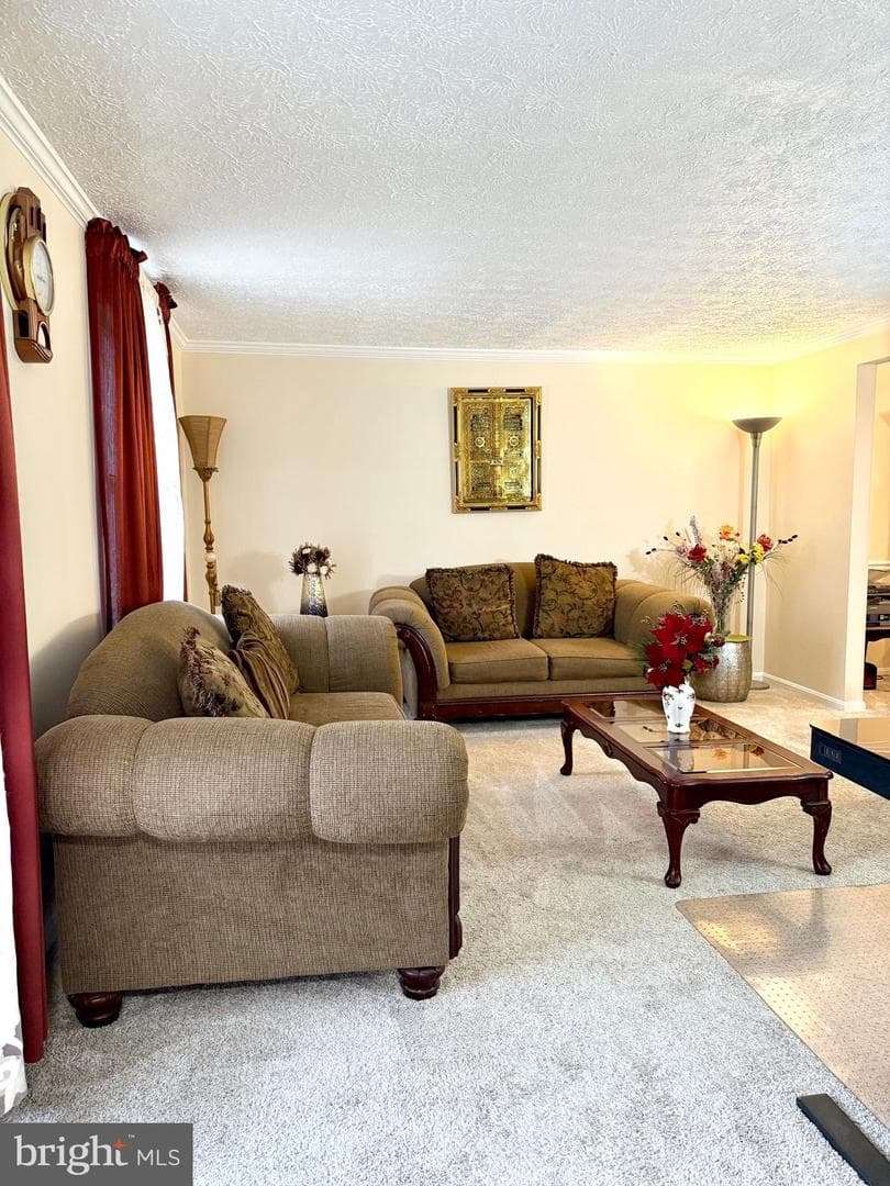 9 Hickory Ridge Court photo 4