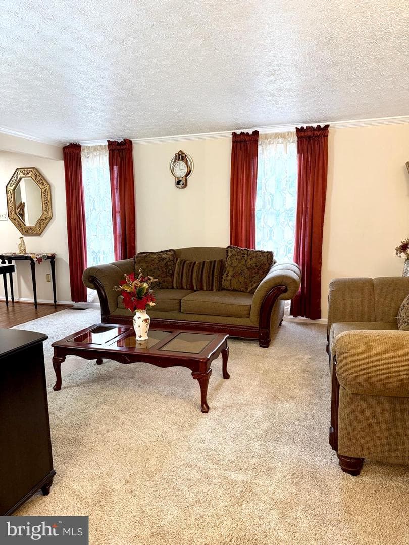 9 Hickory Ridge Court photo 5