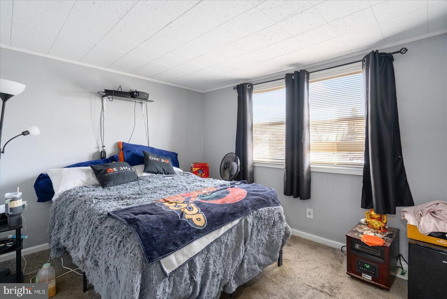 503 Carlsbad Court photo 19