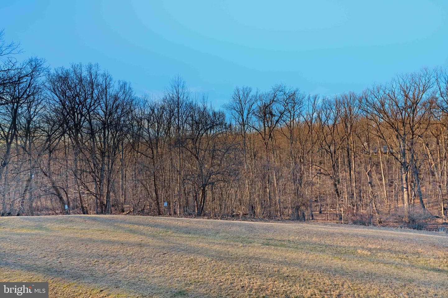 10604 Partridge Lane #a-2 photo 33