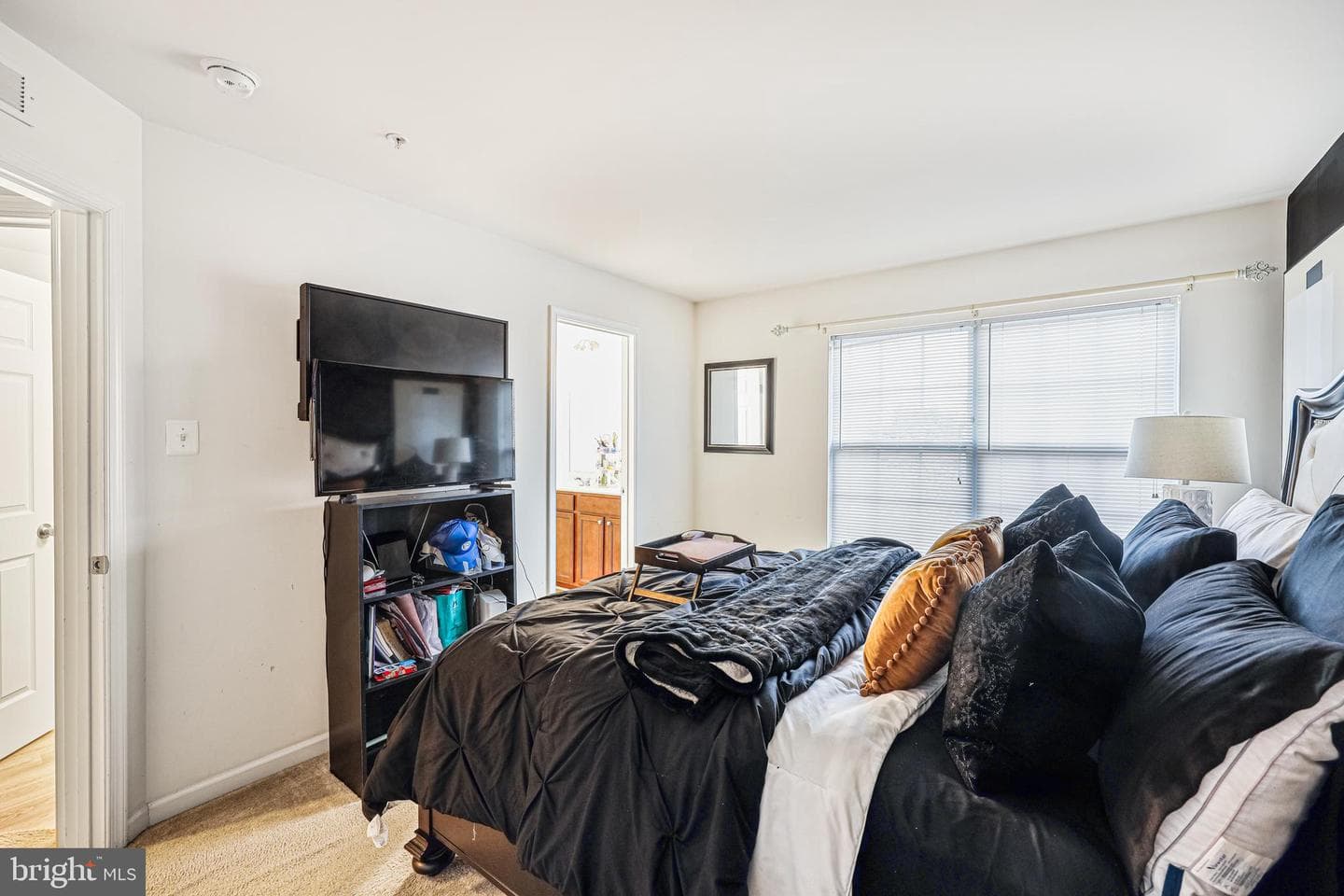 9316 Master Derby Drive photo 23