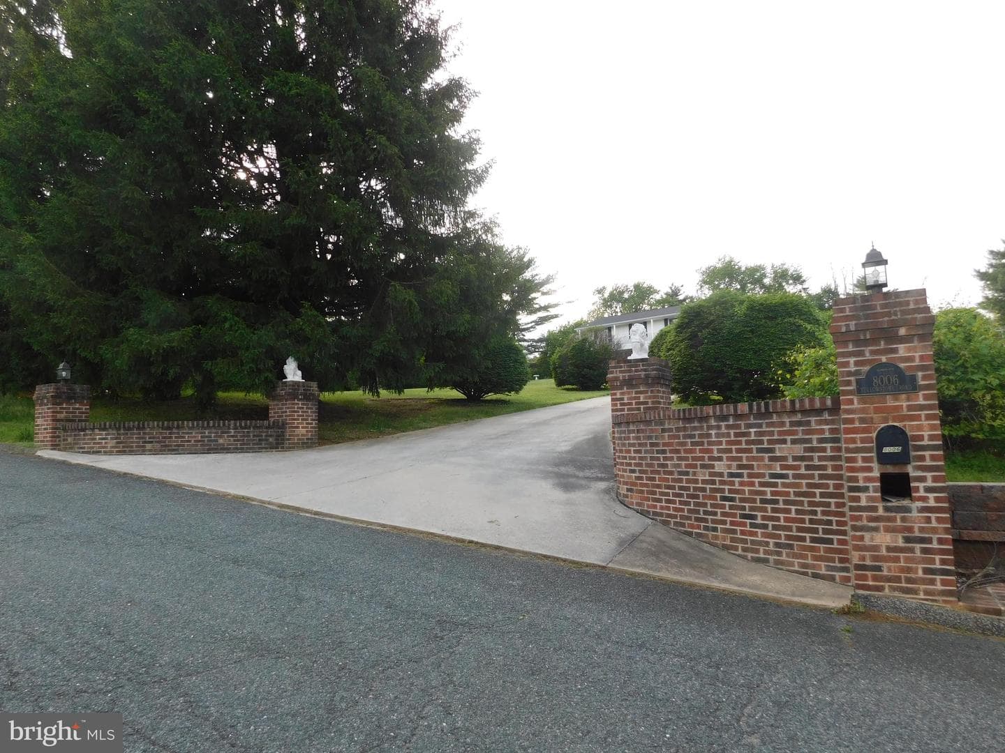 8006 Yellowstone Road photo 53
