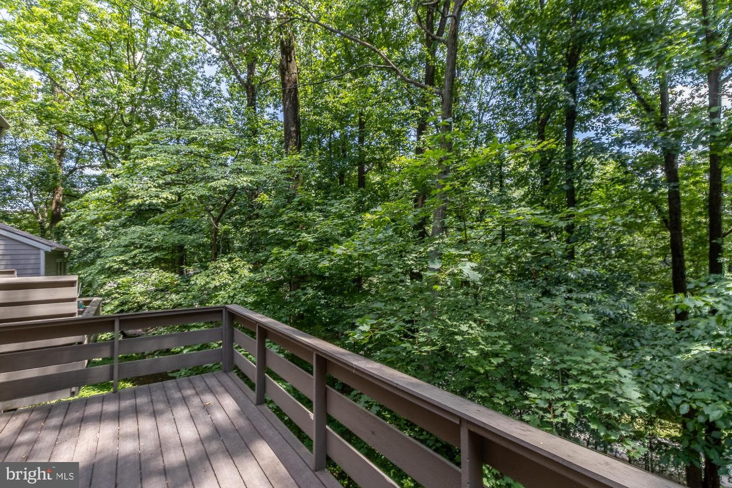 108 Beech View Court #53 photo 23
