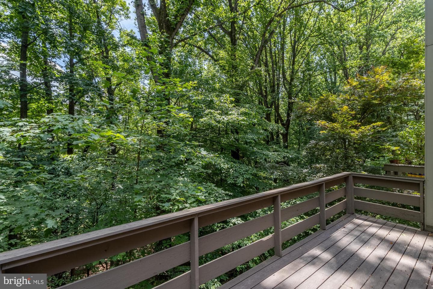 108 Beech View Court #53 photo 24